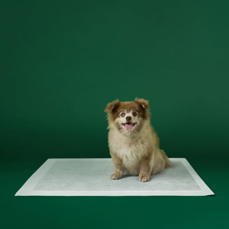 Disposable Dog Pee Pads with AbsorbShield+ Technology V7